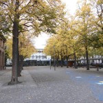 CIMG1450