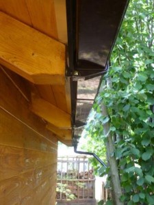 P1020508