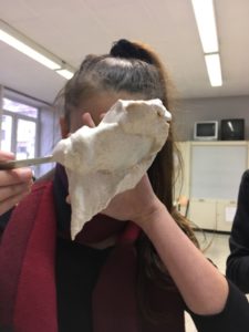 2017-12-01 08.57.26
